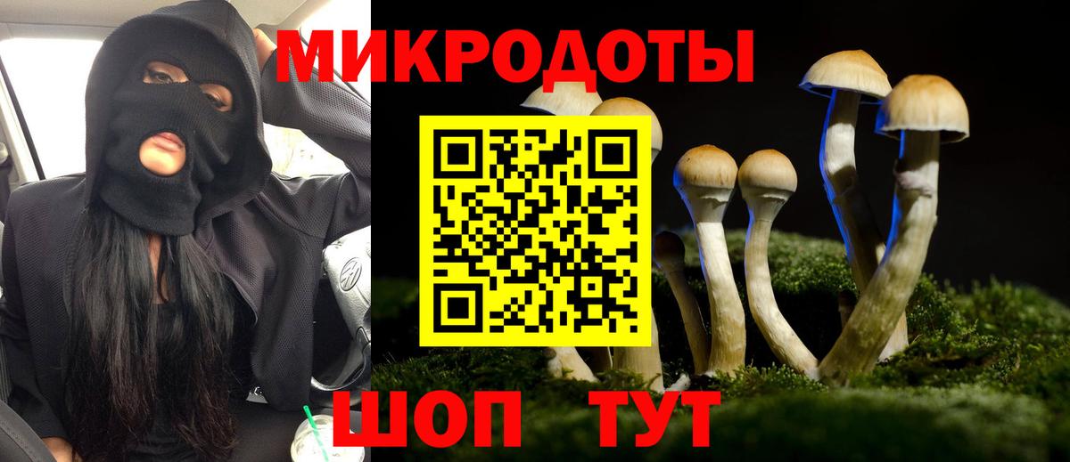 Бузулук  Галлюциногенные грибы Psilocybine cubensis  Галлюциногенные грибы мицелий  Вход с VPN 